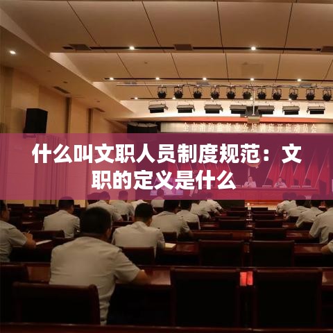 什么叫文职人员制度规范：文职的定义是什么 