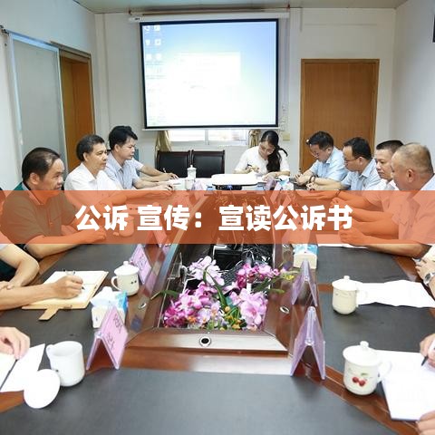 公诉 宣传：宣读公诉书 