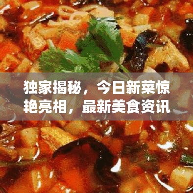 独家揭秘，今日新菜惊艳亮相，最新美食资讯与独家图片一网打尽