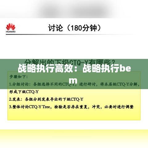战略执行高效：战略执行bem 