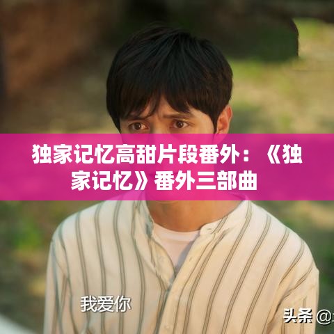 独家记忆高甜片段番外：《独家记忆》番外三部曲 