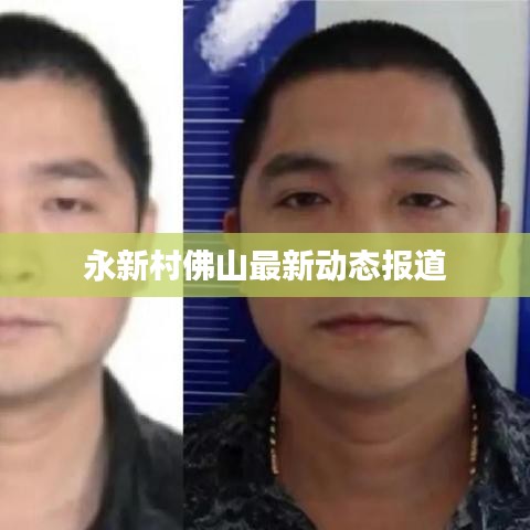 永新村佛山最新动态报道