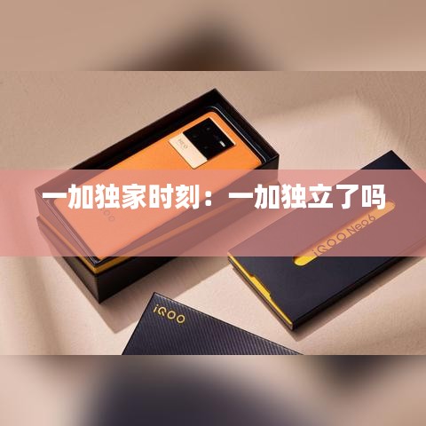 一加独家时刻：一加独立了吗 