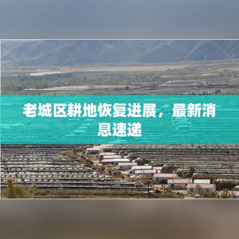 老城区耕地恢复进展，最新消息速递