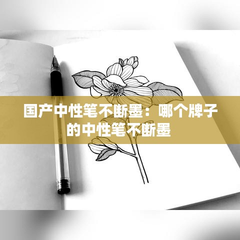 国产中性笔不断墨：哪个牌子的中性笔不断墨 