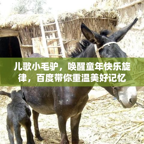 儿歌小毛驴，唤醒童年快乐旋律，百度带你重温美好记忆