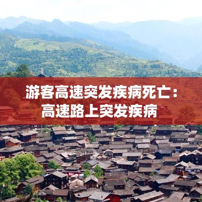 游客高速突发疾病死亡：高速路上突发疾病 