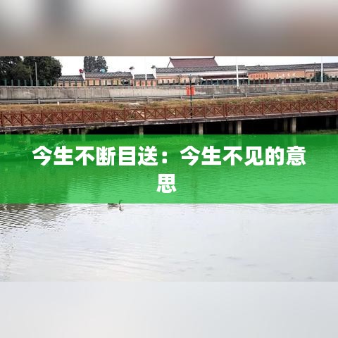今生不断目送：今生不见的意思 