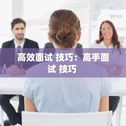 高效面试 技巧：高手面试 技巧 