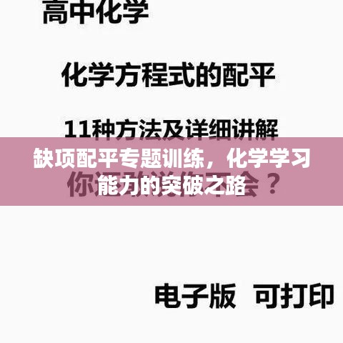 缺项配平专题训练，化学学习能力的突破之路