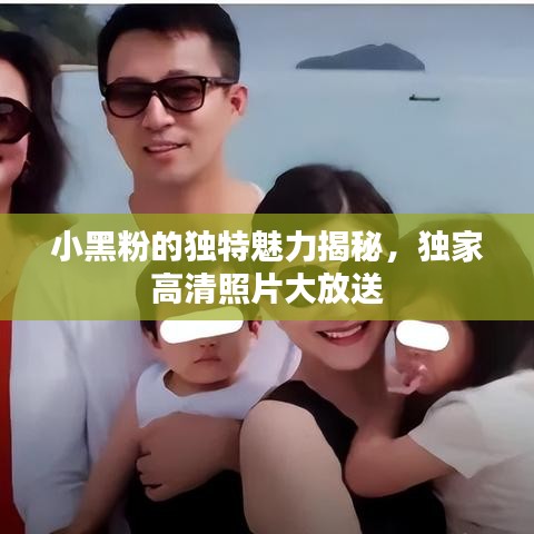 小黑粉的独特魅力揭秘，独家高清照片大放送