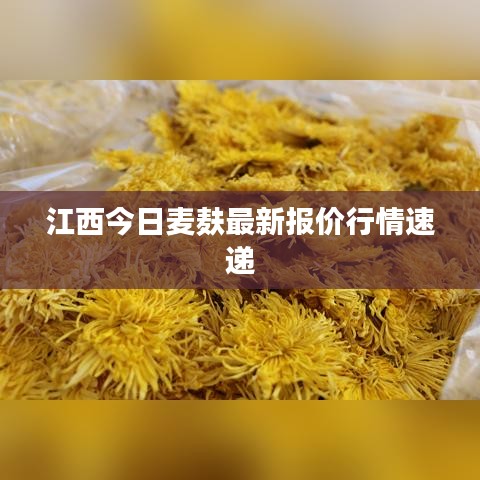 江西今日麦麸最新报价行情速递