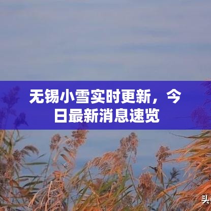 无锡小雪实时更新，今日最新消息速览