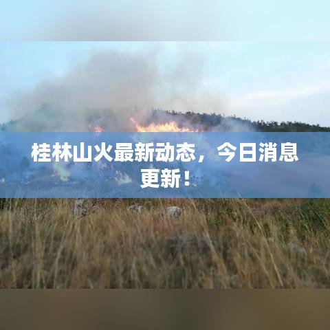 桂林山火最新动态，今日消息更新！
