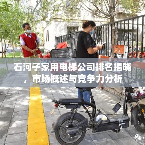 石河子家用电梯公司排名揭晓，市场概述与竞争力分析