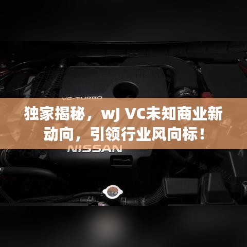 独家揭秘，wJ VC未知商业新动向，引领行业风向标！