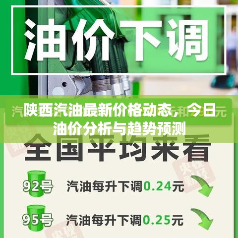 陕西汽油最新价格动态，今日油价分析与趋势预测