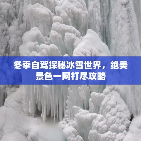 冬季自驾探秘冰雪世界，绝美景色一网打尽攻略