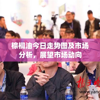 棕榈油今日走势图及市场分析，展望市场动向