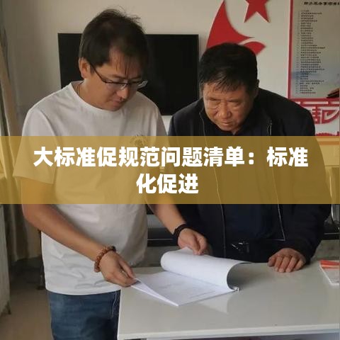 大标准促规范问题清单：标准化促进 