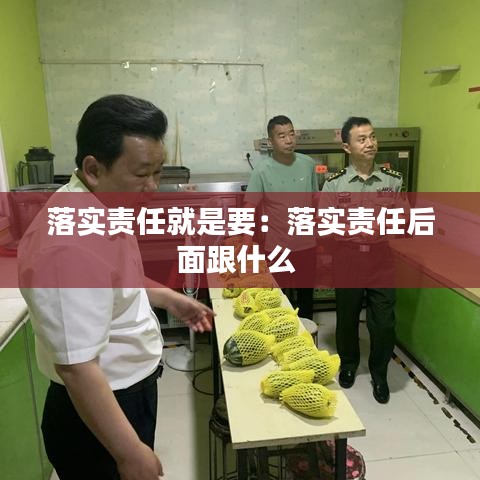 落实责任就是要：落实责任后面跟什么 