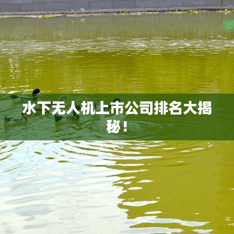 物以稀为贵 第2页