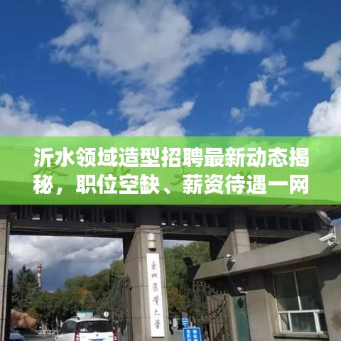 沂水领域造型招聘最新动态揭秘，职位空缺、薪资待遇一网打尽