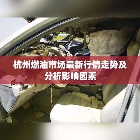 杭州燃油市场最新行情走势及分析影响因素