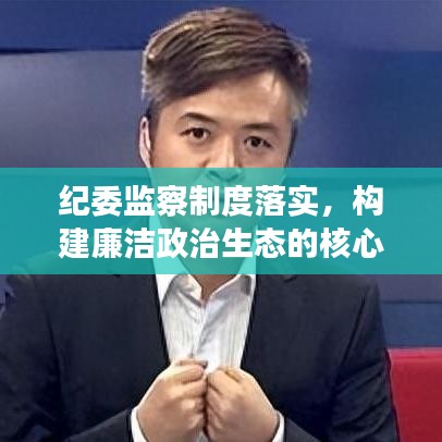 纪委监察制度落实，构建廉洁政治生态的核心基石
