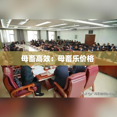 花容月貌 第2页