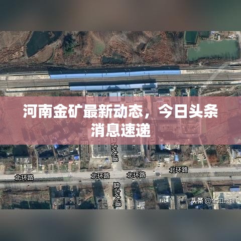 河南金矿最新动态，今日头条消息速递
