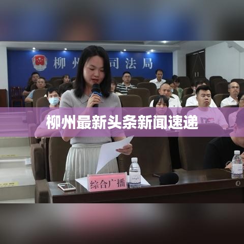 柳州最新头条新闻速递