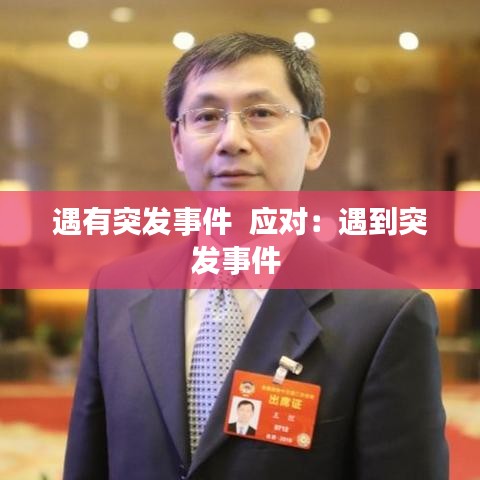 遇有突发事件  应对：遇到突发事件 