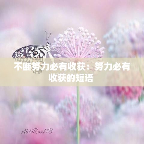 不断努力必有收获：努力必有收获的短语 