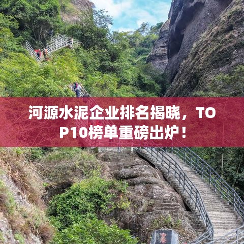 河源水泥企业排名揭晓，TOP10榜单重磅出炉！