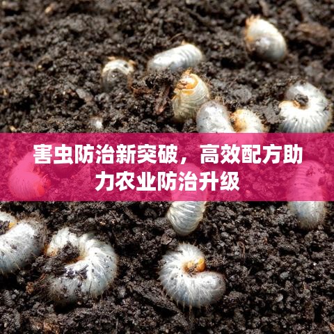 害虫防治新突破，高效配方助力农业防治升级