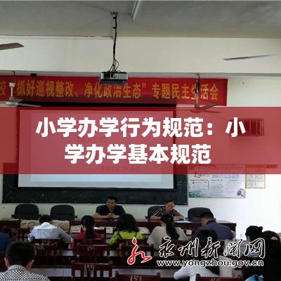 小学办学行为规范：小学办学基本规范 