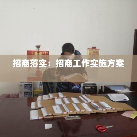 招商落实：招商工作实施方案 
