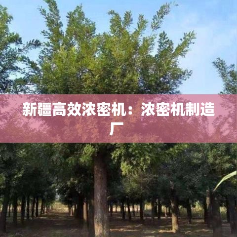 新疆高效浓密机：浓密机制造厂 