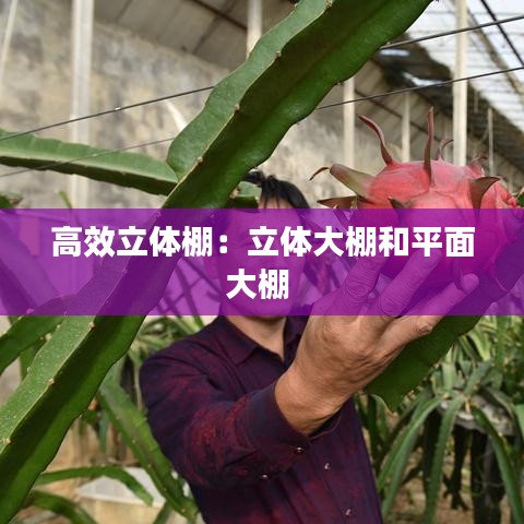 高效立体棚：立体大棚和平面大棚 