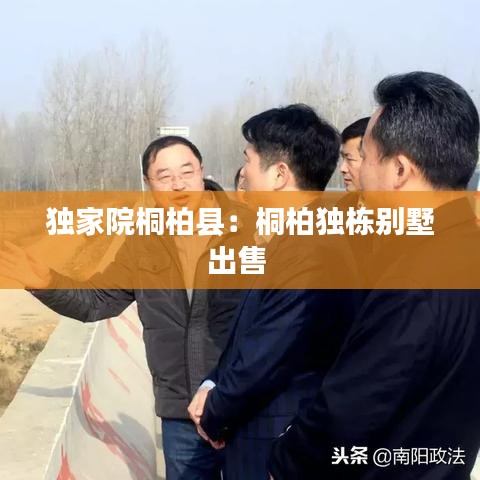 独家院桐柏县：桐柏独栋别墅出售 