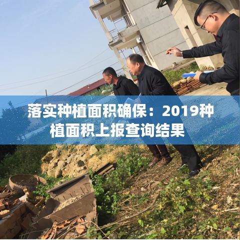 落实种植面积确保：2019种植面积上报查询结果 