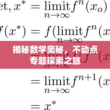揭秘数学奥秘，不动点专题探索之旅