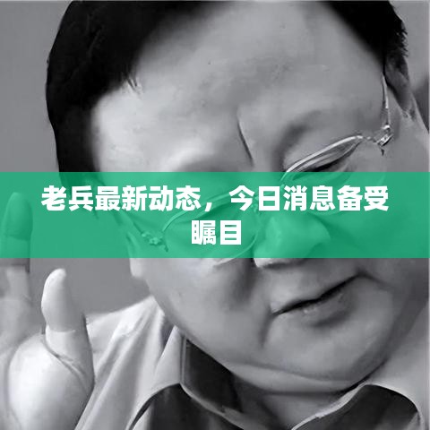 老兵最新动态，今日消息备受瞩目