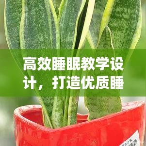 高效睡眠教学设计，打造优质睡眠模式，提升身心健康质量