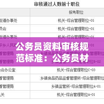 公务员资料审核规范标准：公务员材料审核流程 