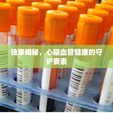 独家揭秘，心脑血管健康的守护要素