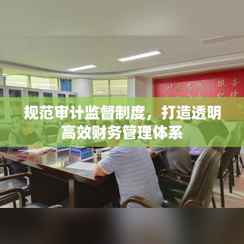 规范审计监督制度，打造透明高效财务管理体系