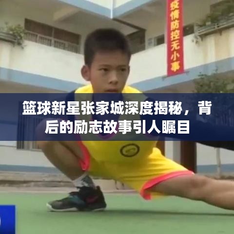 篮球新星张家城深度揭秘，背后的励志故事引人瞩目
