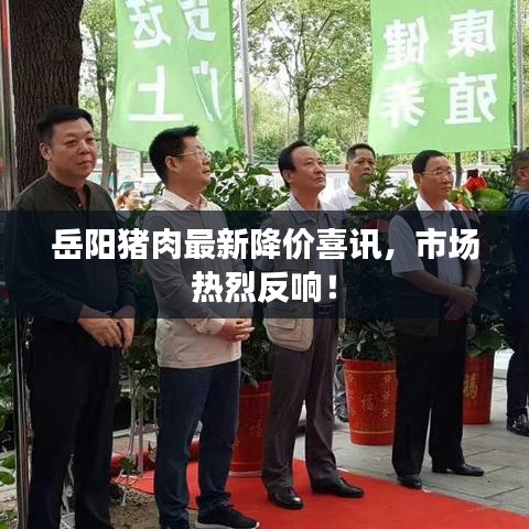 岳阳猪肉最新降价喜讯，市场热烈反响！